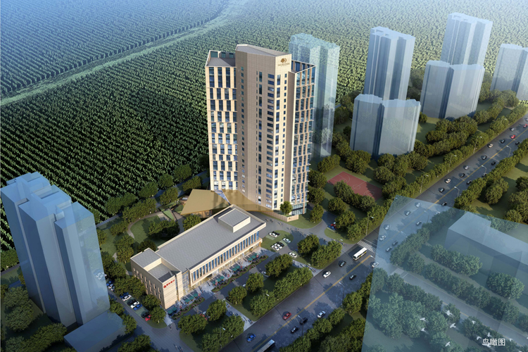 不负春光起好步，，，希尔顿逸林旅馆公寓项目银行主体封顶大吉